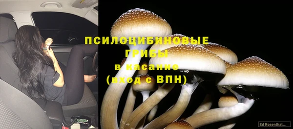 твердый Зеленодольск