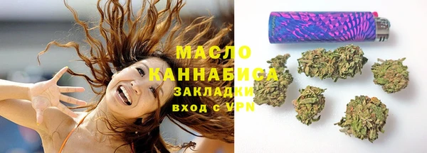 твердый Зеленодольск